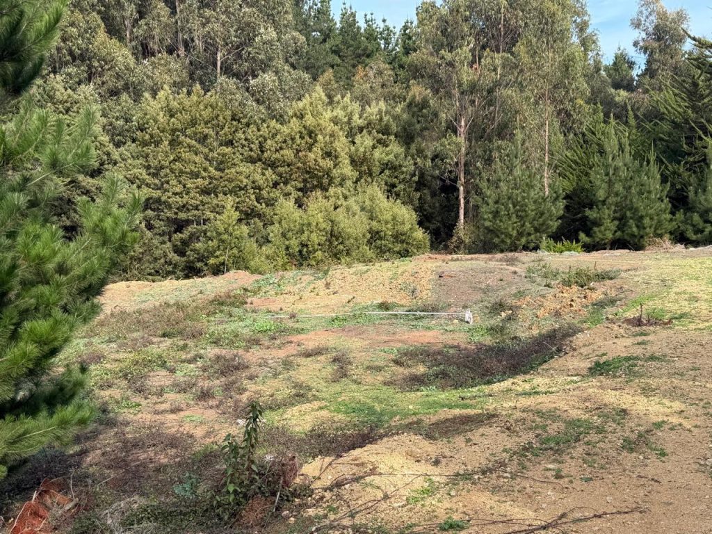 Panoramica